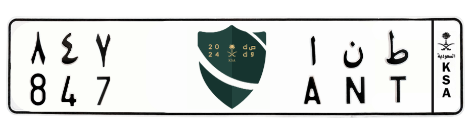 لوحة ط ن ا 847